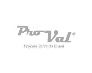 logo_PRO VALVE