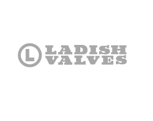 LOGO_LADISH